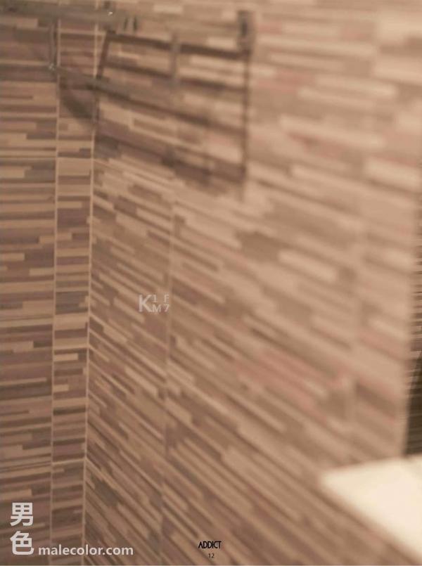 Addict--The-Premium-Issue